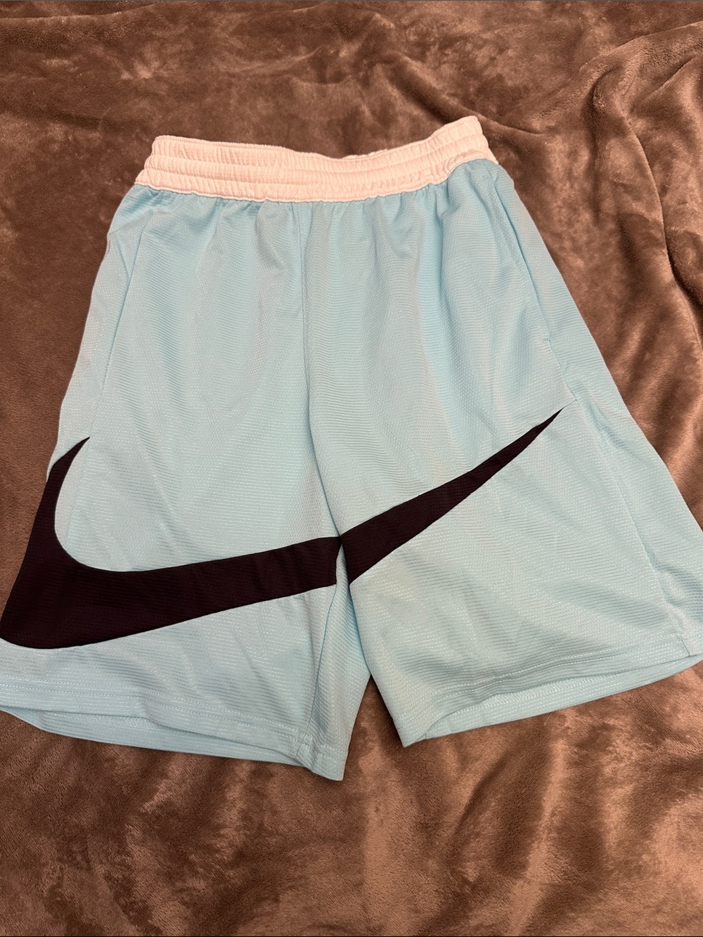 Nike Pale Blue Mesh Shorts with Black Swoosh